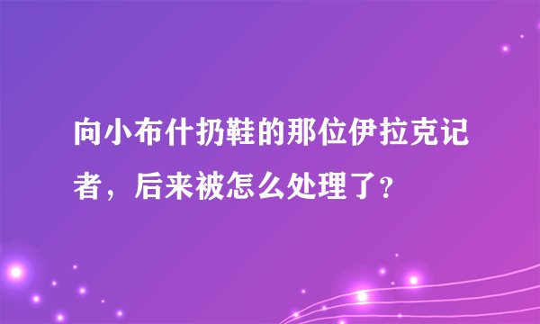 向小布什扔鞋的那位伊拉克记者，后来被怎么处理了？
