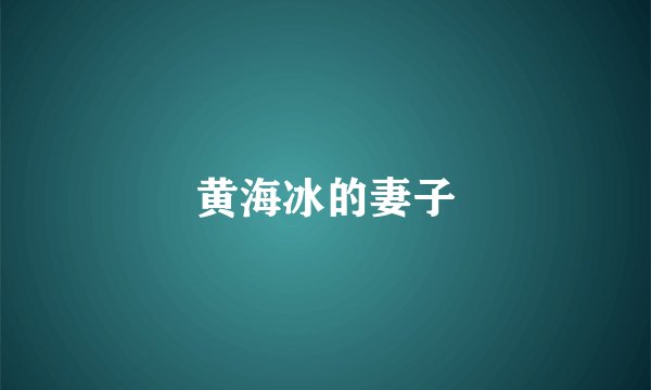 黄海冰的妻子