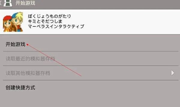 谁能教我一下DraStic激烈NDS模拟器怎么用金手指啊，是安卓版的