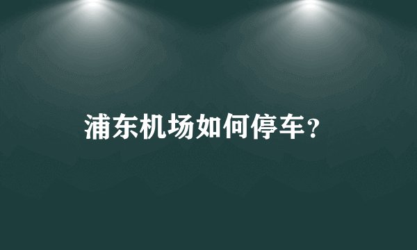 浦东机场如何停车？