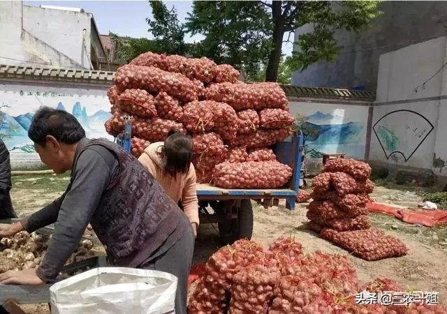 大蒜降价了