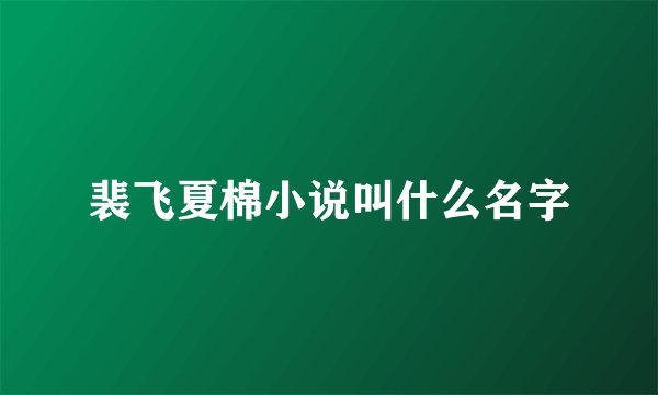 裴飞夏棉小说叫什么名字