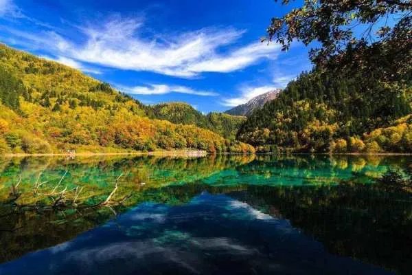 九寨沟的火花海将恢复开放,它之前受到了什么“伤害”?