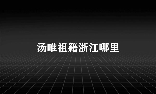 汤唯祖籍浙江哪里