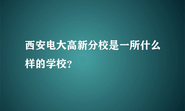 西安电大高新分校是一所什么样的学校？