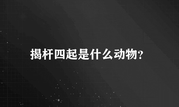 揭杆四起是什么动物?