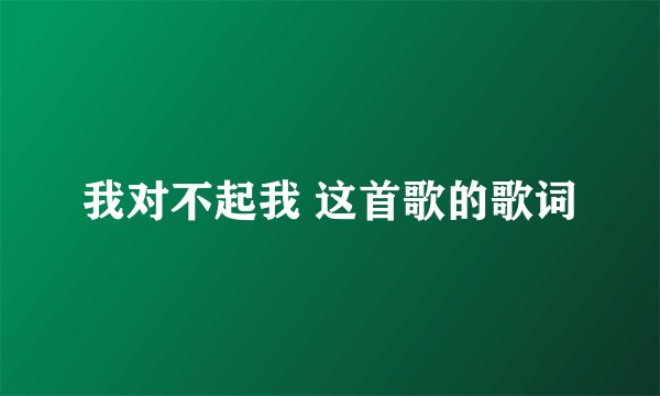 我对不起我 这首歌的歌词