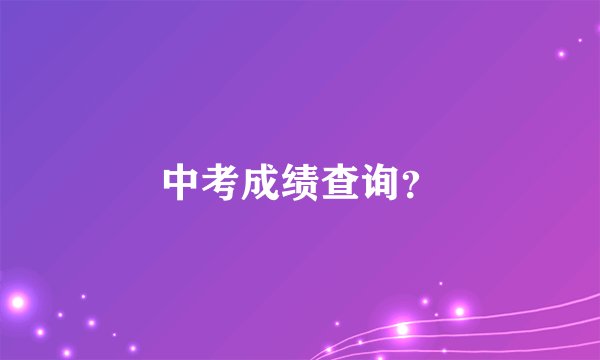 中考成绩查询？