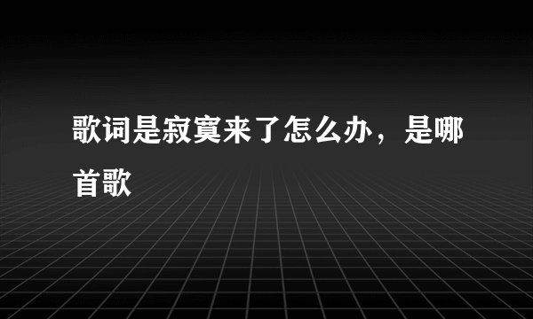 歌词是寂寞来了怎么办，是哪首歌