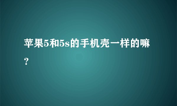 苹果5和5s的手机壳一样的嘛？