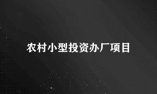 农村小型投资办厂项目