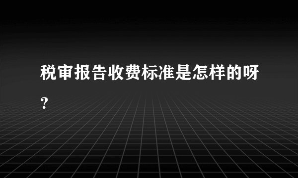 税审报告收费标准是怎样的呀？