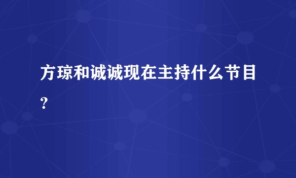 方琼和诚诚现在主持什么节目？