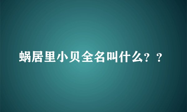 蜗居里小贝全名叫什么？？