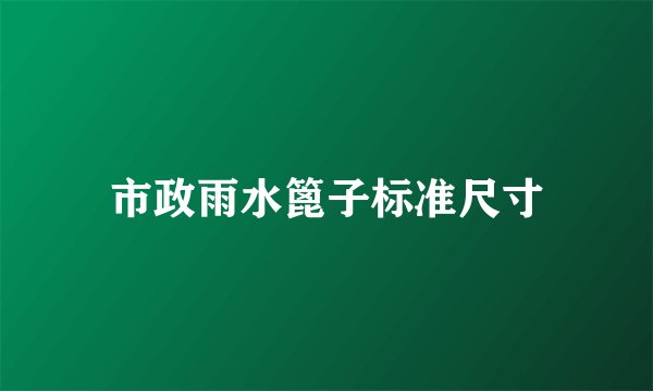 市政雨水篦子标准尺寸