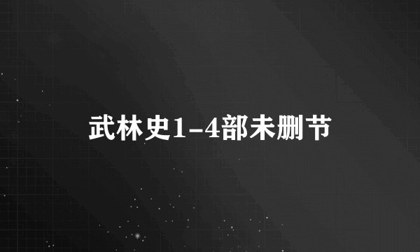 武林史1-4部未删节
