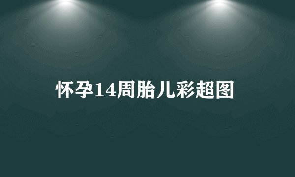 怀孕14周胎儿彩超图