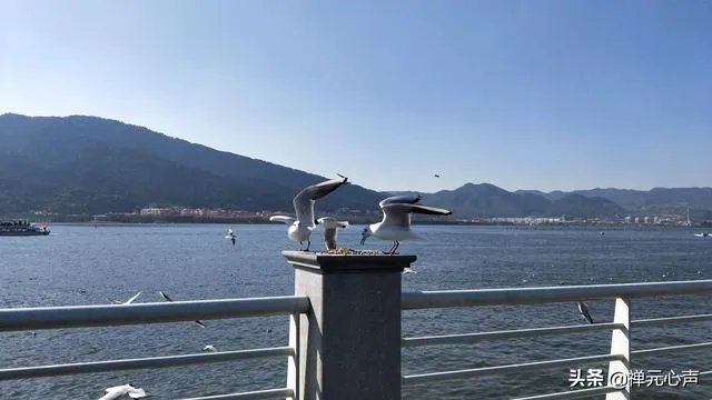 2021年的春节你是怎么过的?