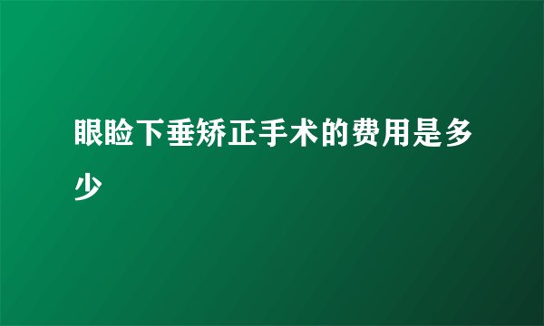 眼睑下垂矫正手术的费用是多少