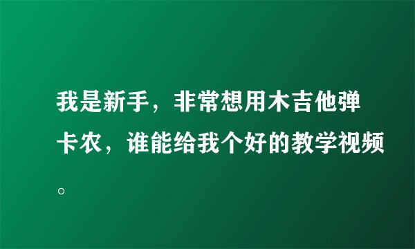 我是新手，非常想用木吉他弹卡农，谁能给我个好的教学视频。