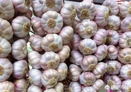 2019年会不会重现当年的“蒜你狠”?