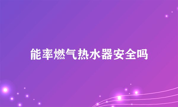 能率燃气热水器安全吗