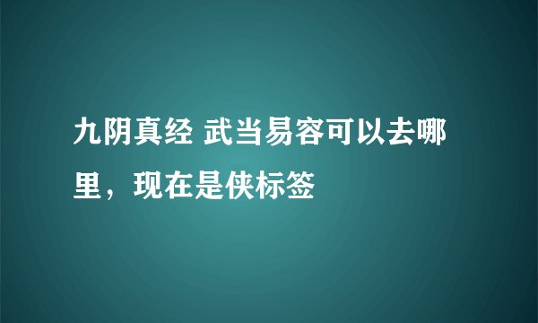 九阴真经 武当易容可以去哪里，现在是侠标签