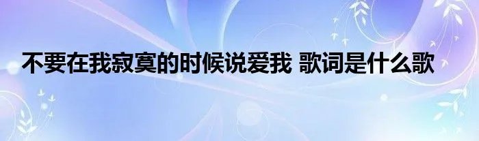 不要在我寂寞的时候说爱我 歌词是什么歌