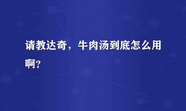 请教达奇，牛肉汤到底怎么用啊？