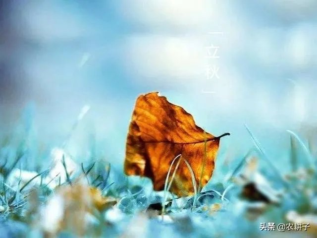 农村立秋当天忌讳