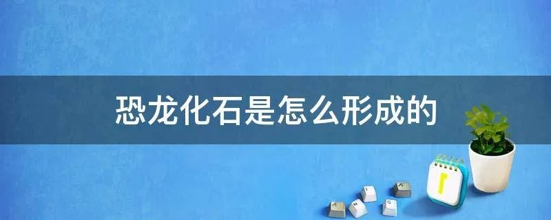 恐龙化石是怎么形成的