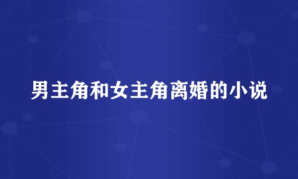 男主角和女主角离婚的小说