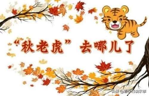 农村立秋当天忌讳