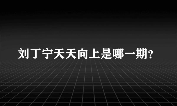 刘丁宁天天向上是哪一期？