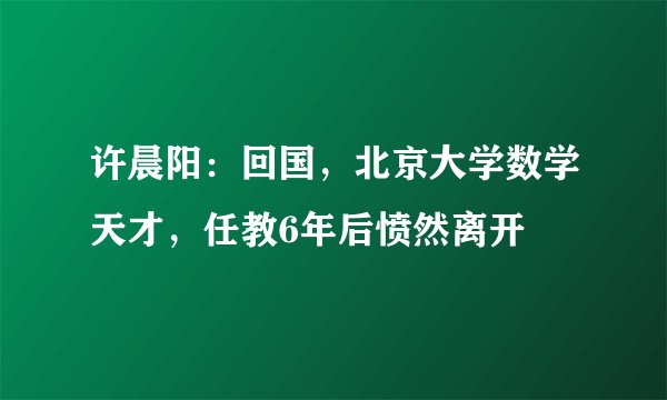 许晨阳：回国，北京大学数学天才，任教6年后愤然离开