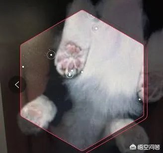 支付宝如何手势扫一扫集五福？