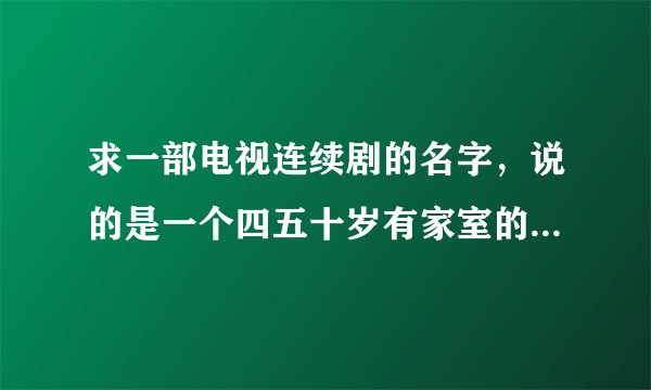 求一部电视连续剧的名字，说的是一个四五十岁有家室的男子出轨，爱上了一个年轻女子，男主人公总是叫她丫