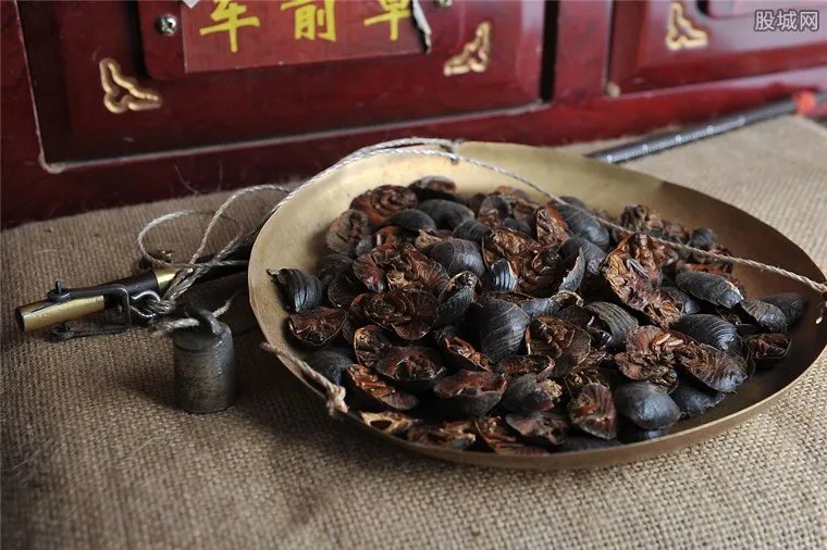 土鳖虫多少钱一斤 养殖这种昆虫前景怎么样？