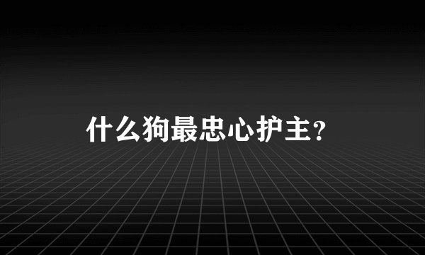什么狗最忠心护主?