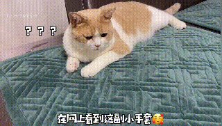 考验女朋友身材的时候到了 知道你在想什么的动态图