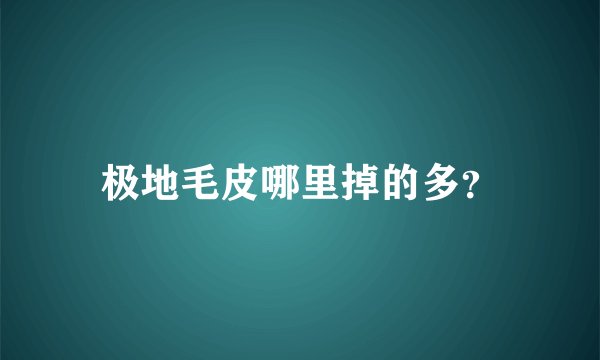 极地毛皮哪里掉的多？