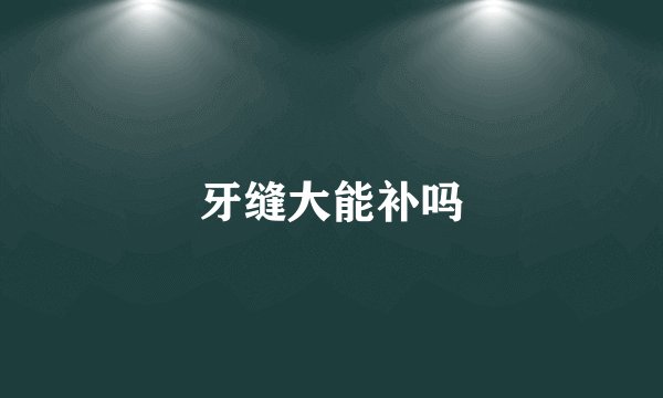 牙缝大能补吗