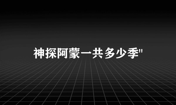 神探阿蒙一共多少季