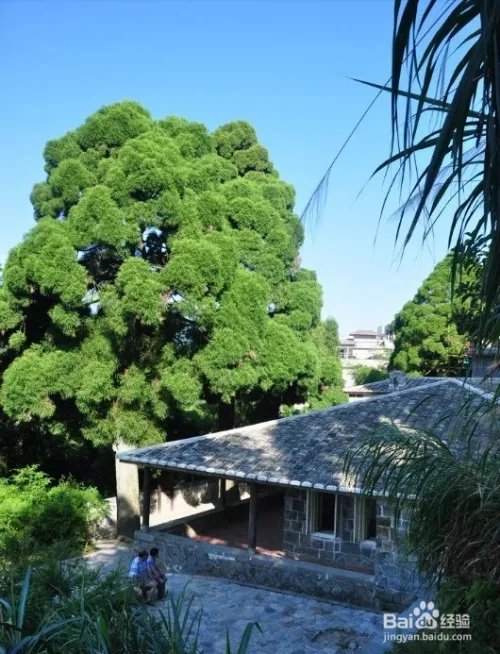 福州鼓岭一日游图文攻略