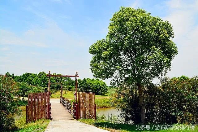崇明有什么好玩的地方?
