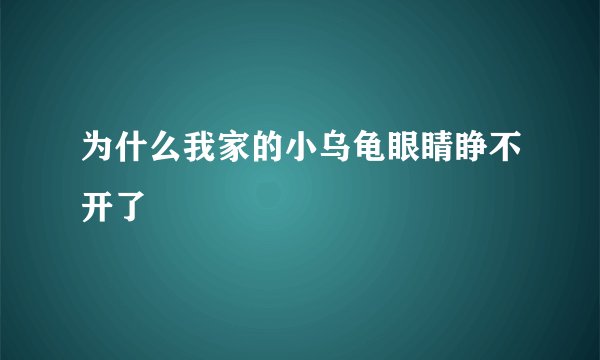 为什么我家的小乌龟眼睛睁不开了