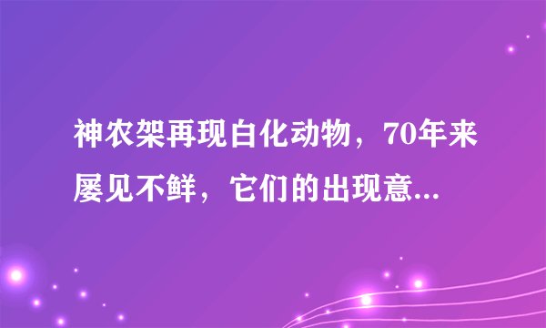 神农架再现白化动物,70年来屡见不鲜,它们的出现意味着什么?