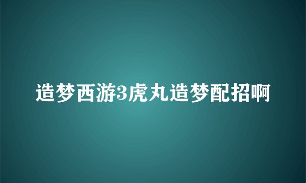 造梦西游3虎丸造梦配招啊