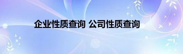 企业性质查询 公司性质查询