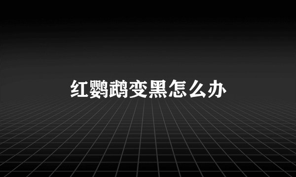 红鹦鹉变黑怎么办